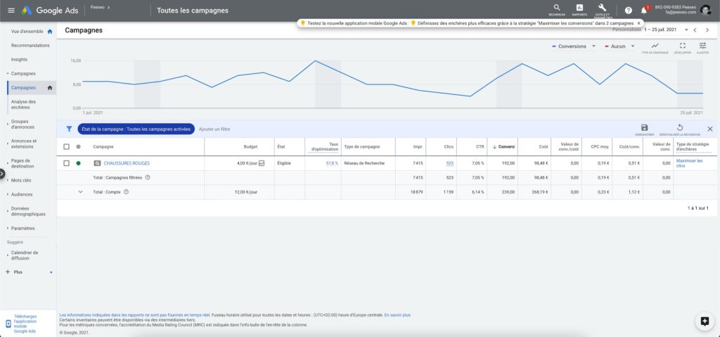 exemple d'une campagne google ads