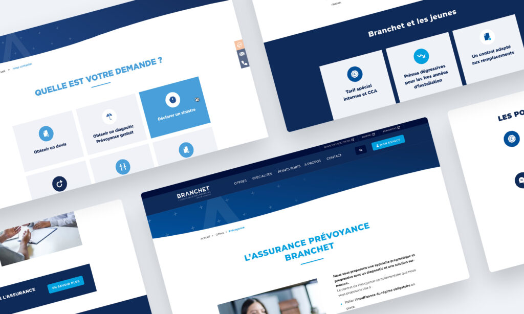 Vue d'ensemble des pages du site Branchet