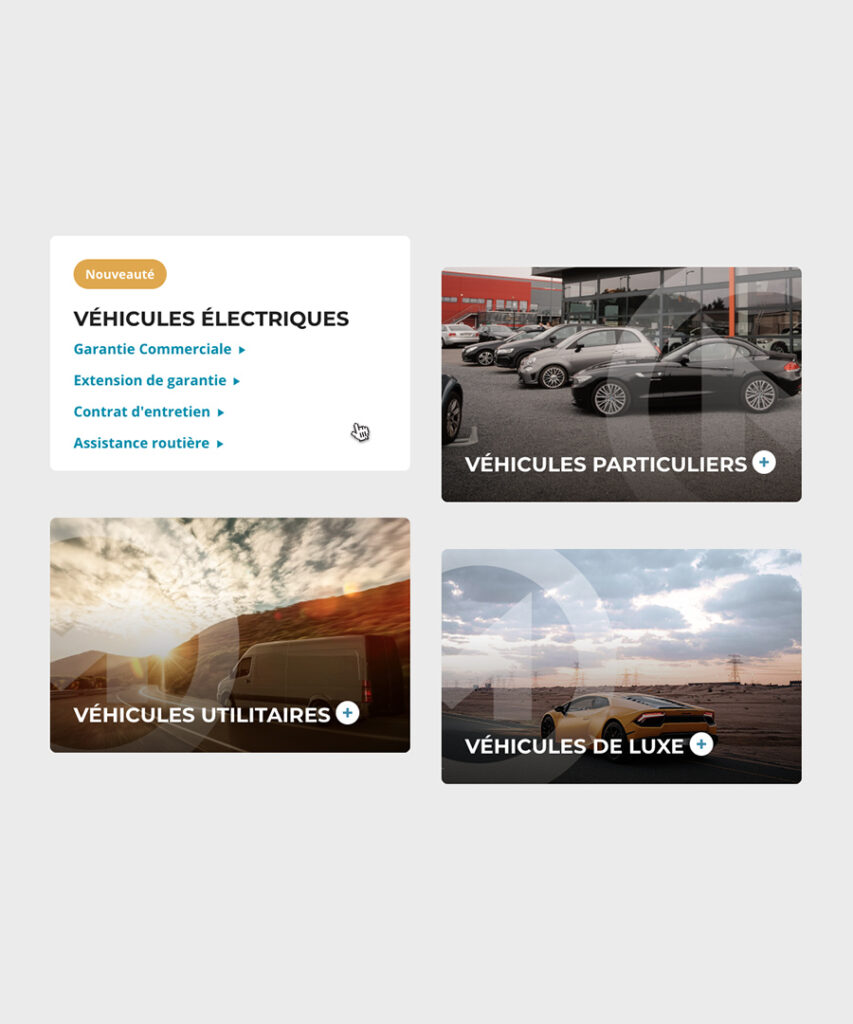 Zoom sur les offres